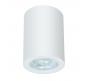 Накладной светильник Arte Lamp Tino  A1468PL-1WH
